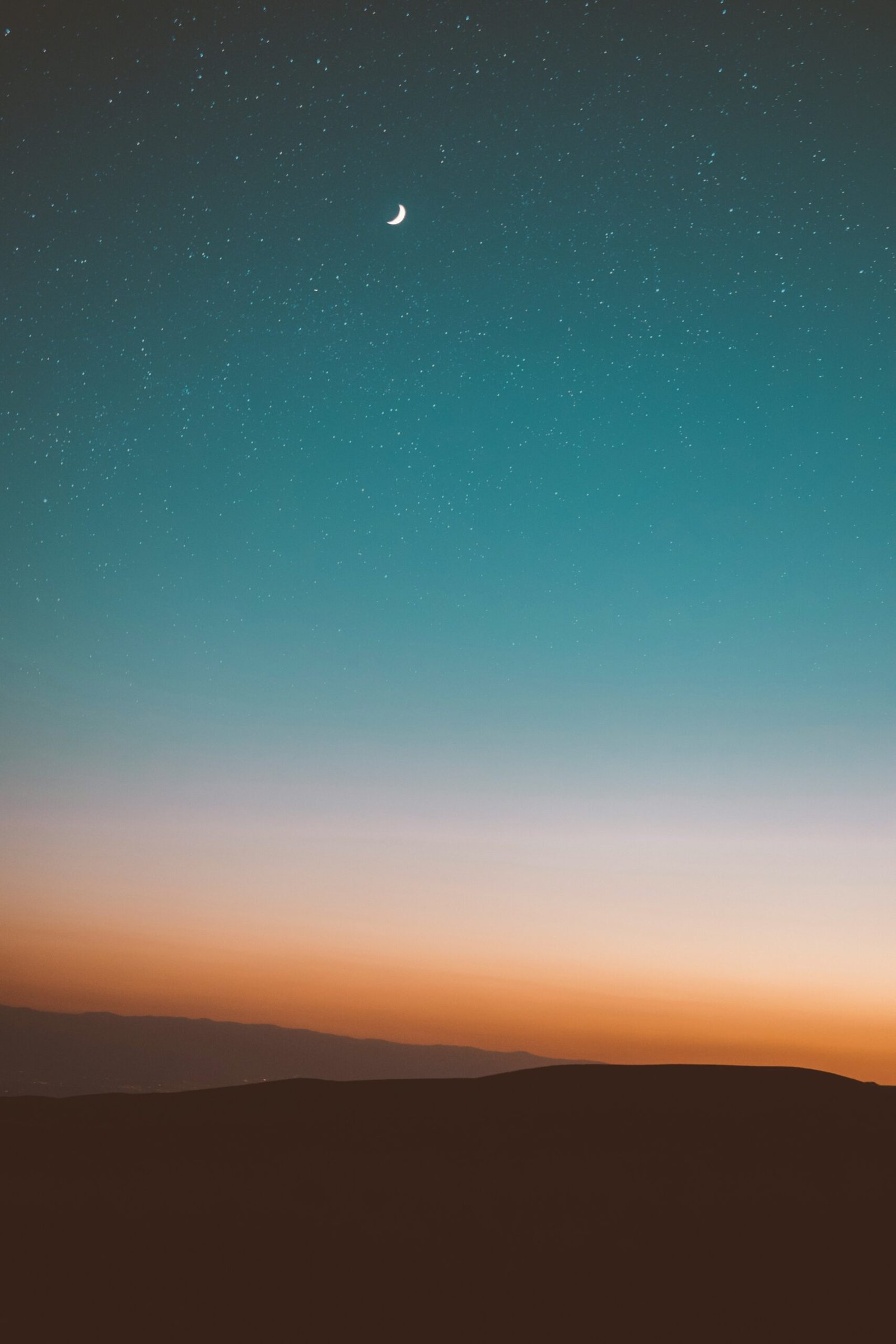 desert under starry sky